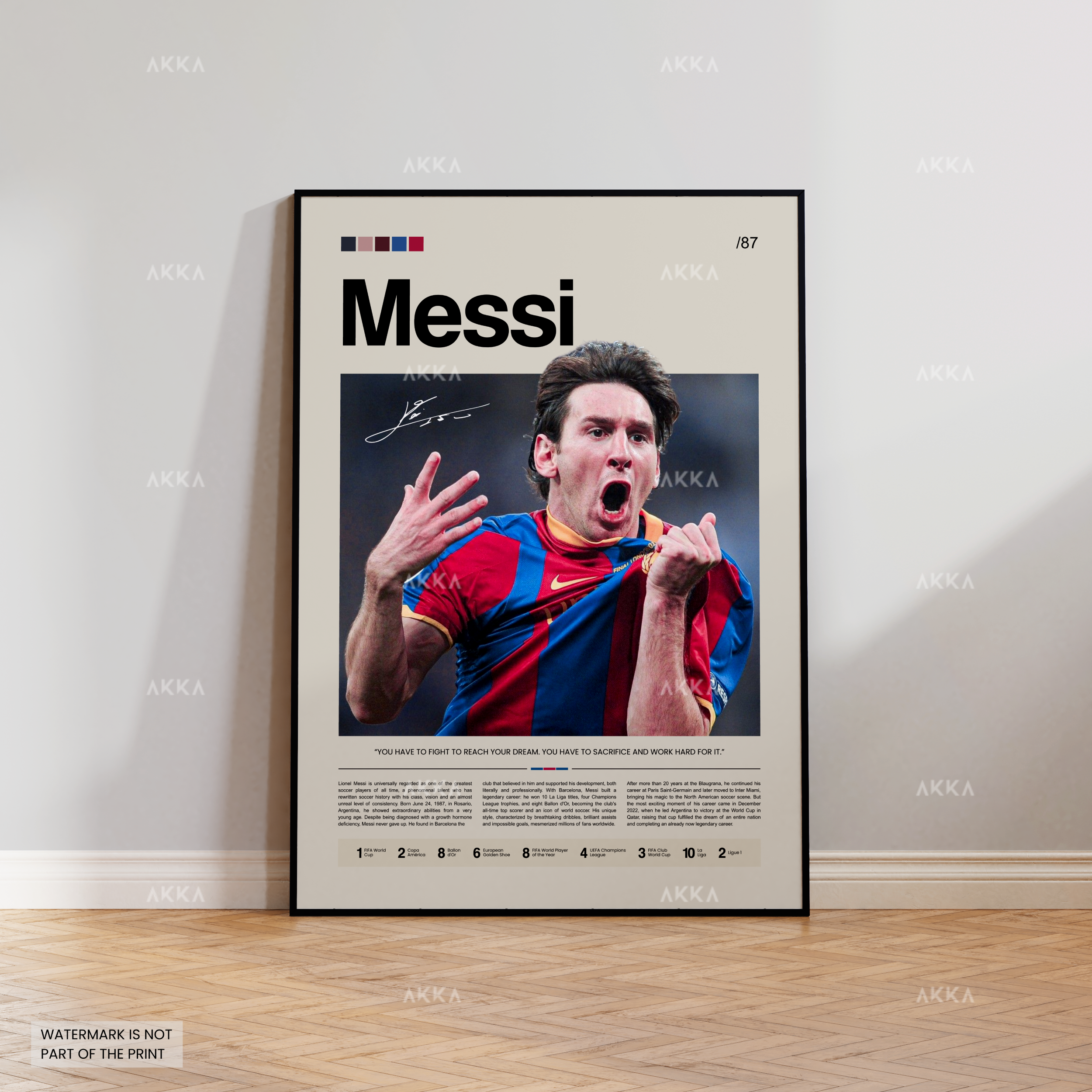 Lionel Messi - FC Barcelona