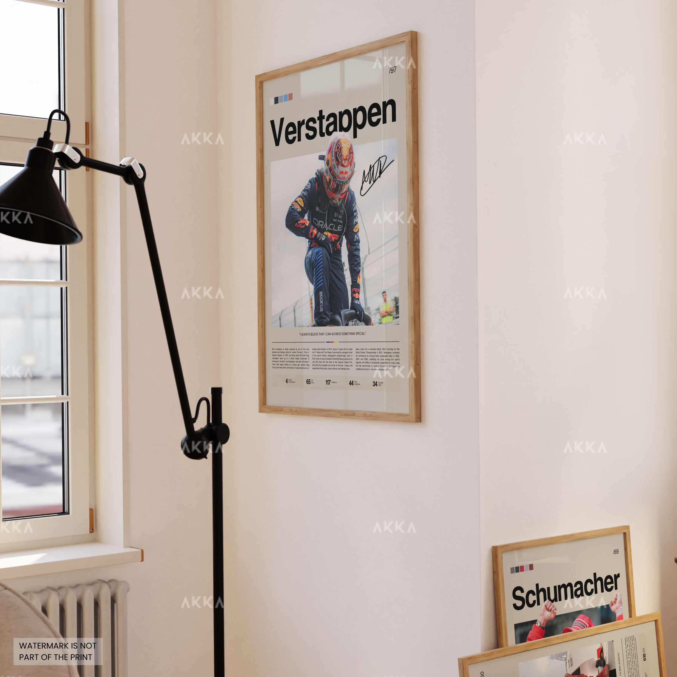 Max Verstappen - Red Bull Racing