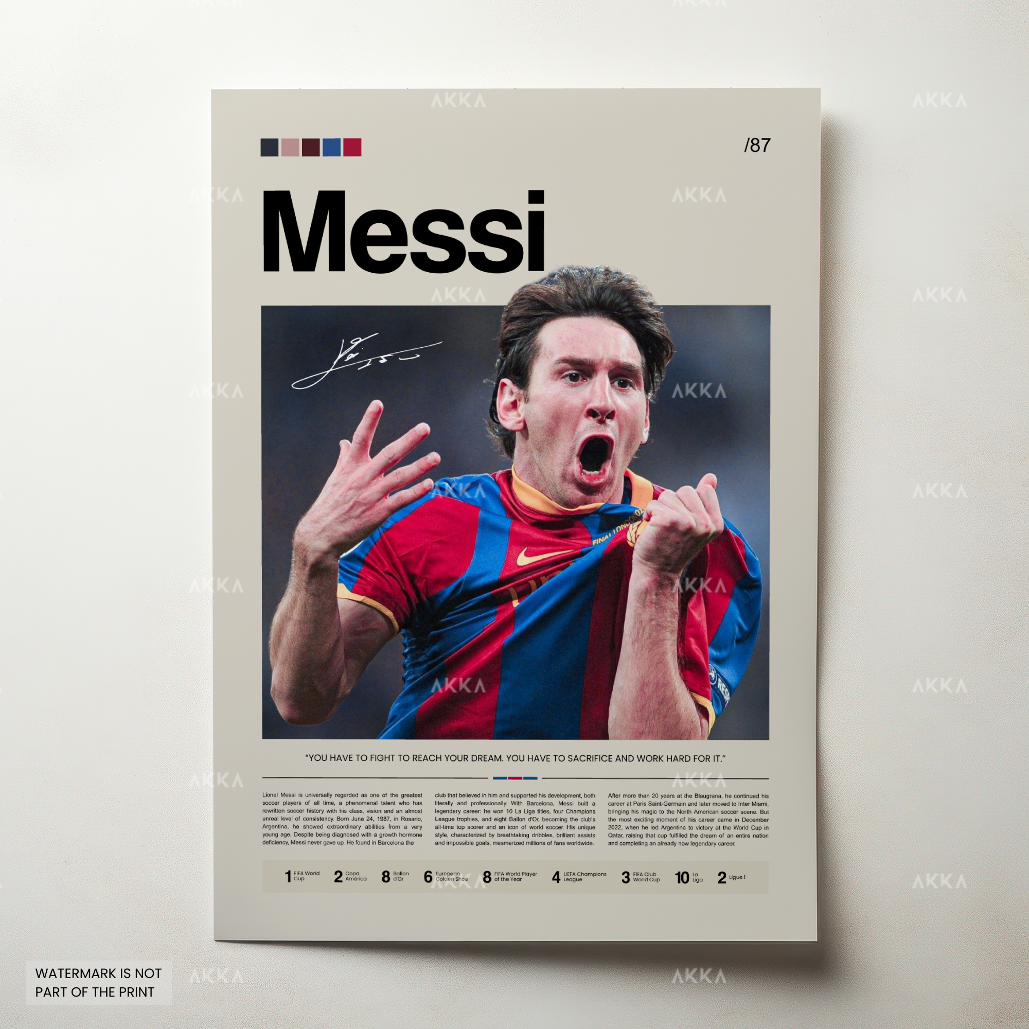 Lionel Messi - FC Barcelona