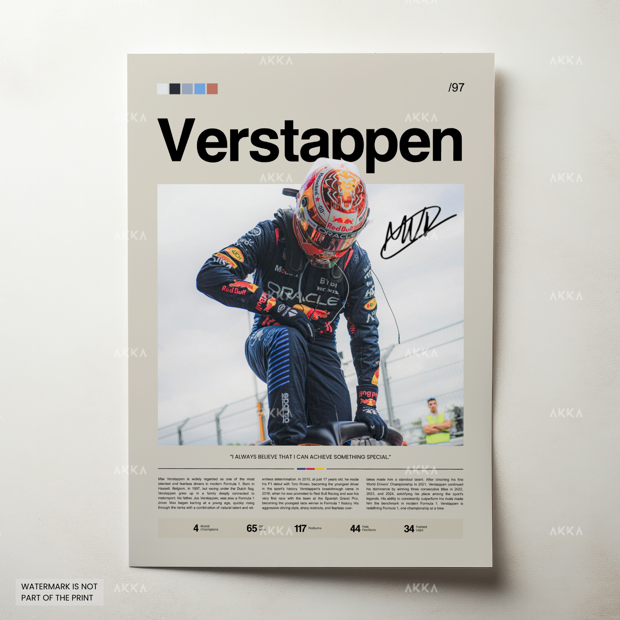 Max Verstappen - Red Bull Racing