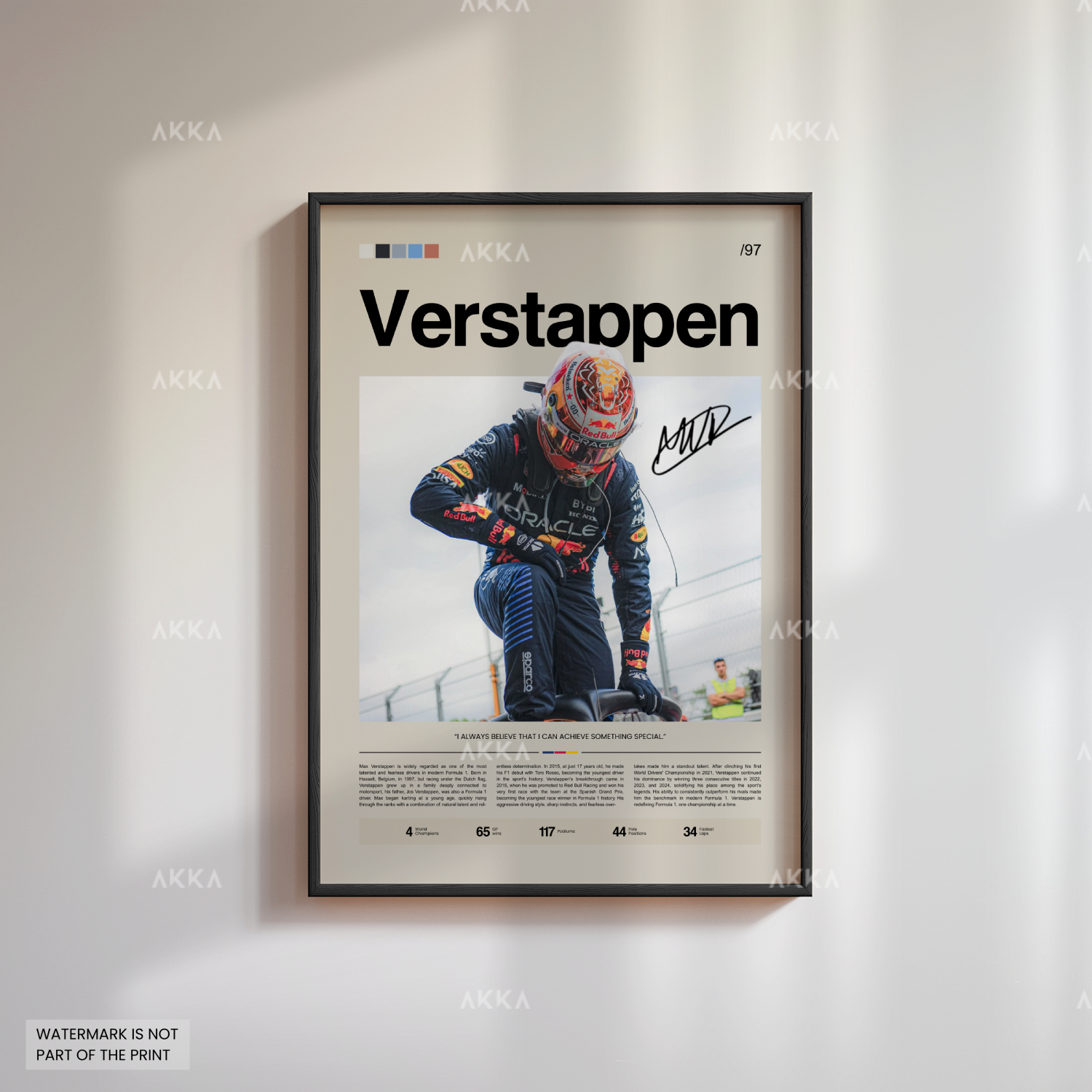 Max Verstappen - Red Bull Racing