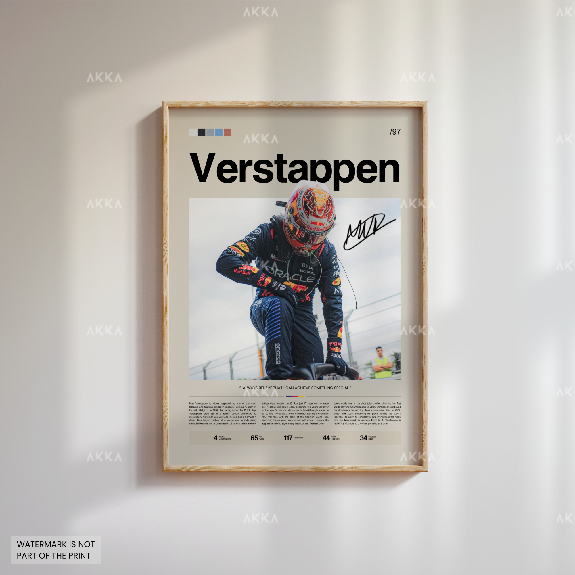 Max Verstappen - Red Bull Racing