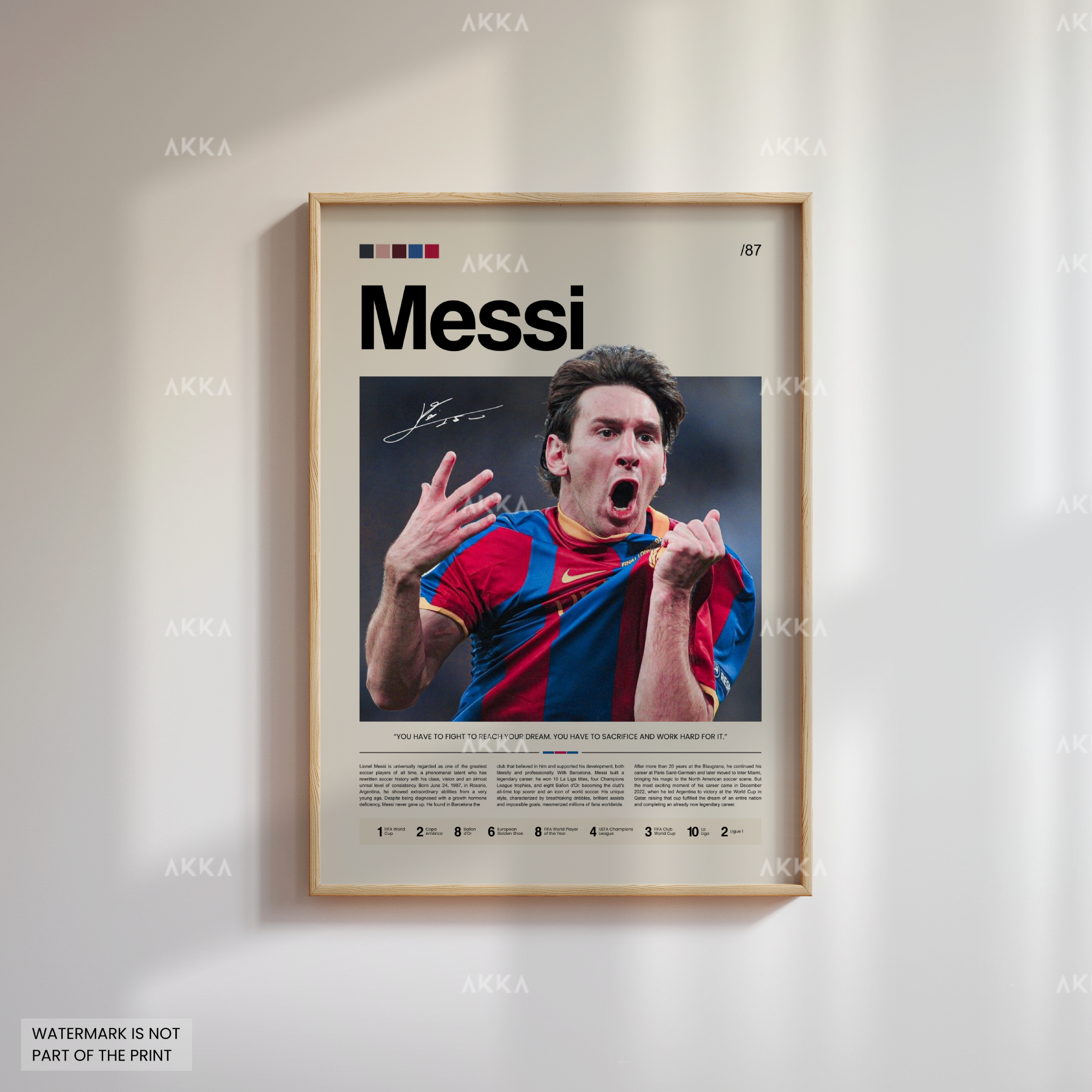 Lionel Messi - FC Barcelona