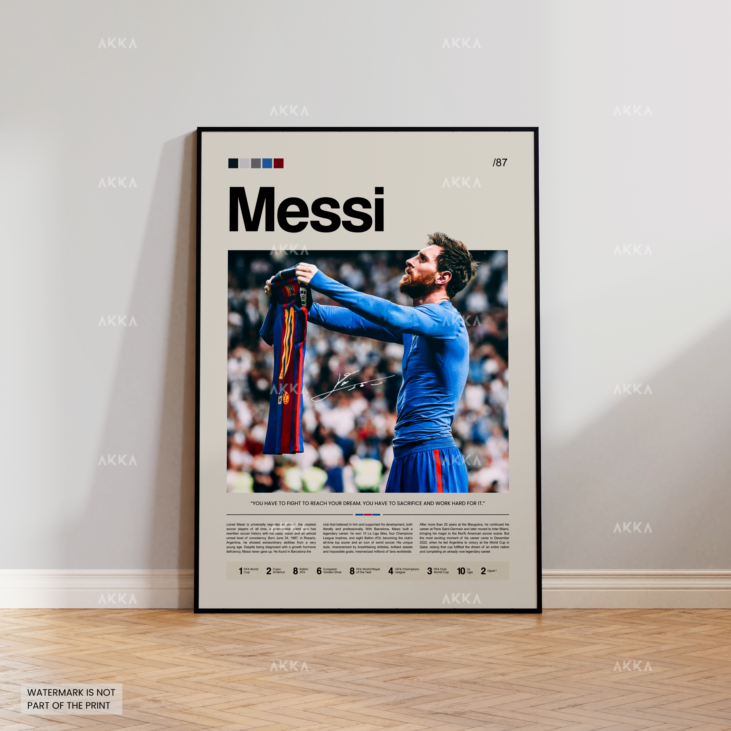 Lionel Messi - FC Barcelona