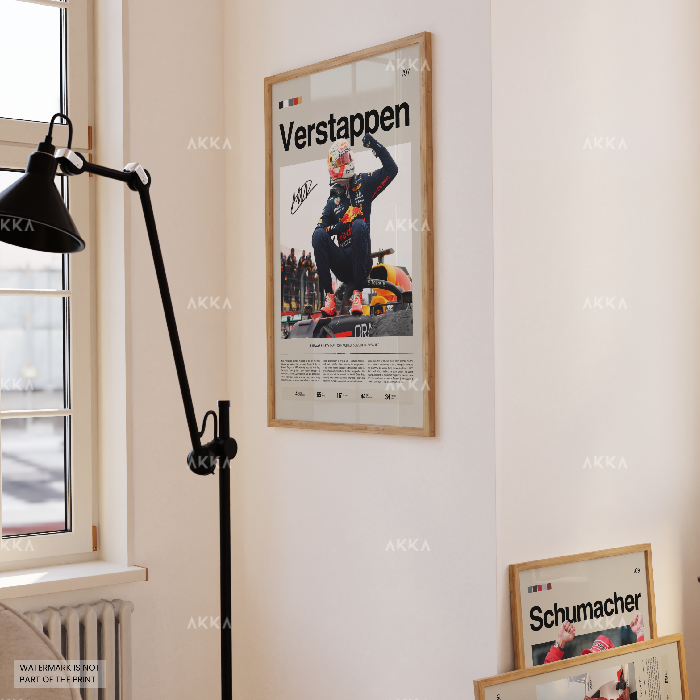 Max Verstappen - Red Bull Racing