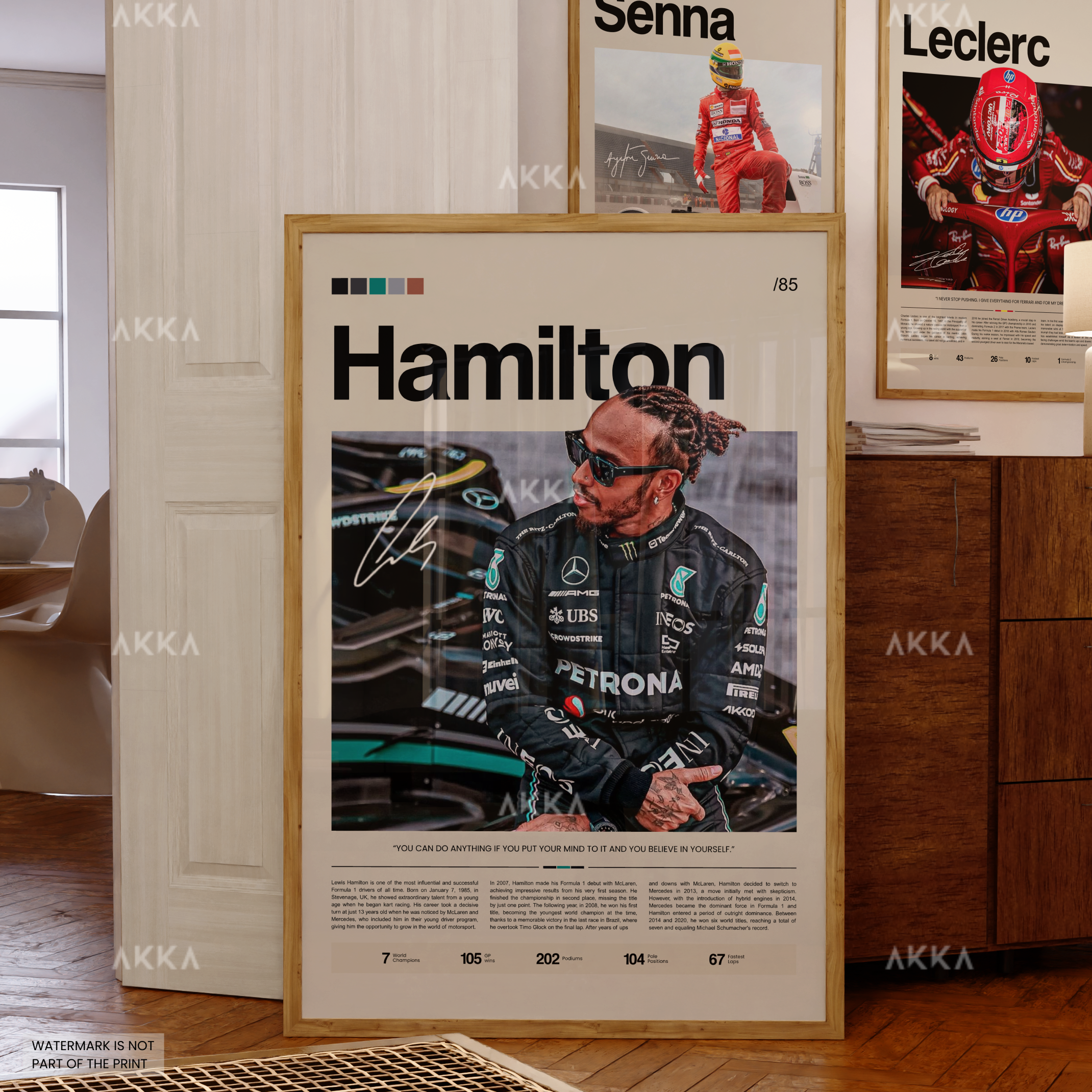 Lewis Hamilton - Mercedes AMG