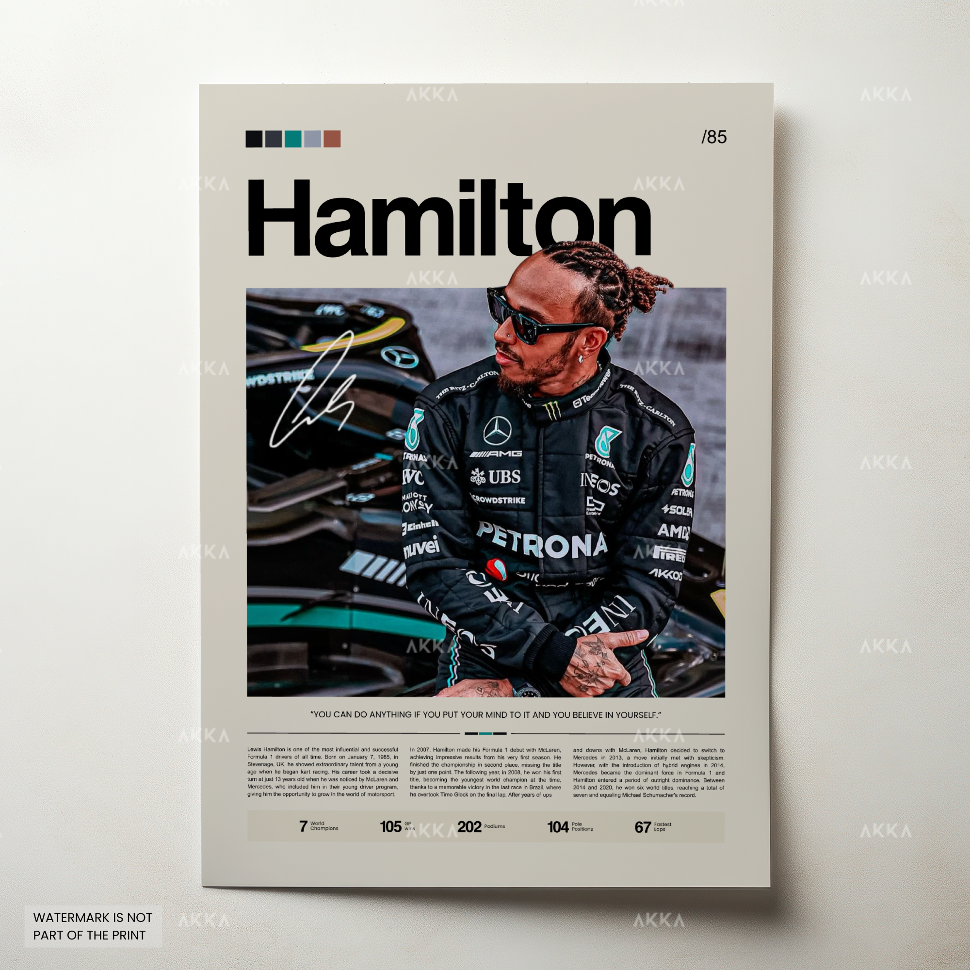 Lewis Hamilton - Mercedes AMG