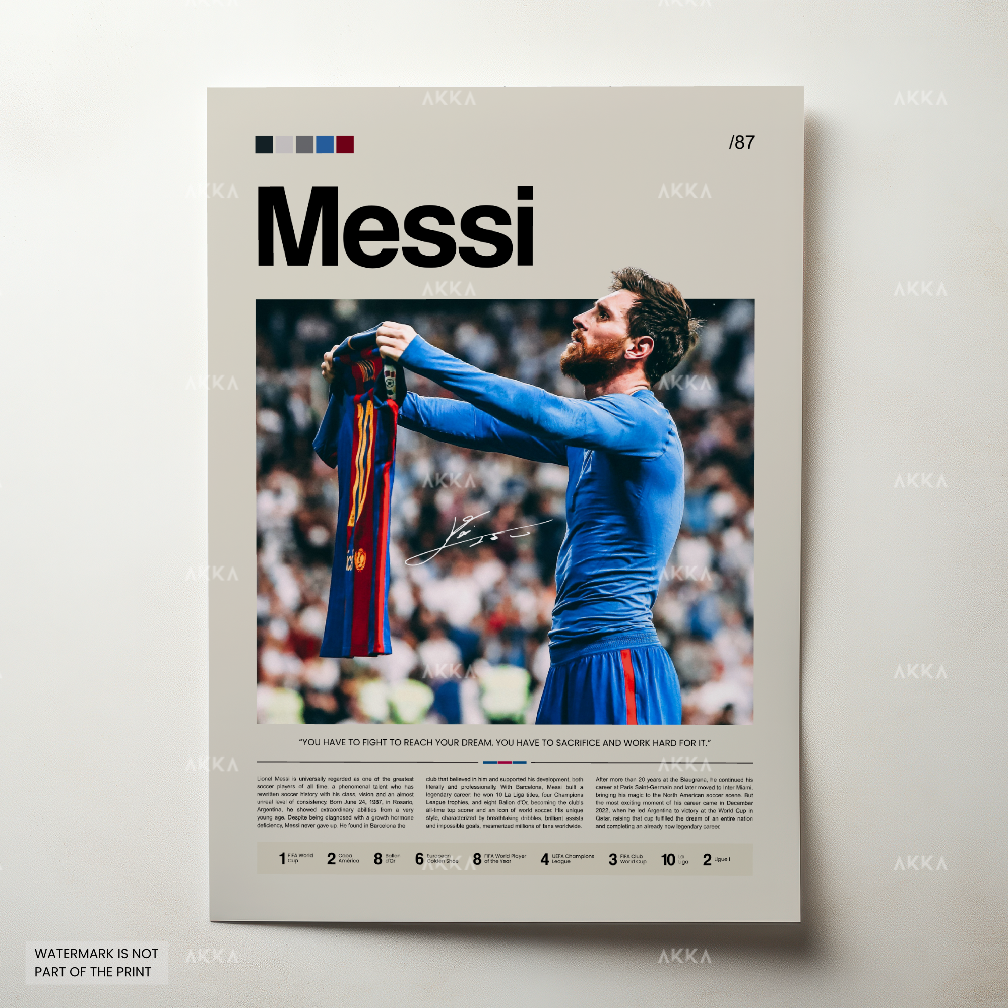 Lionel Messi - FC Barcelona
