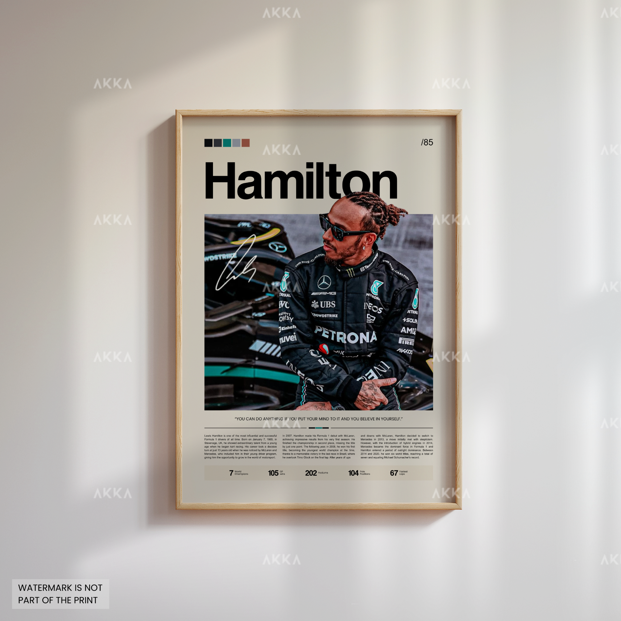 Lewis Hamilton - Mercedes AMG