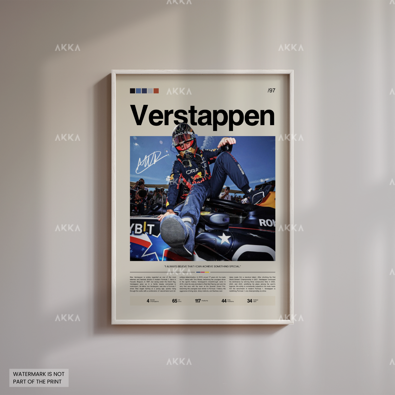 Max Verstappen - Red Bull Racing