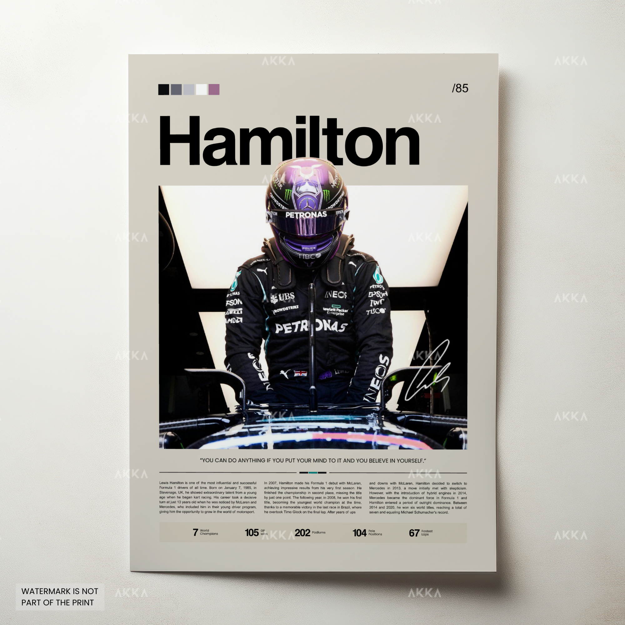 Lewis Hamilton - Mercedes AMG