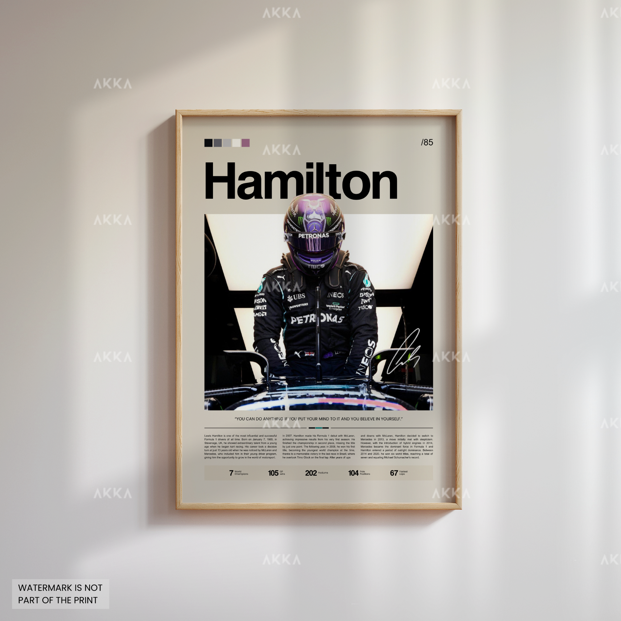 Lewis Hamilton - Mercedes AMG
