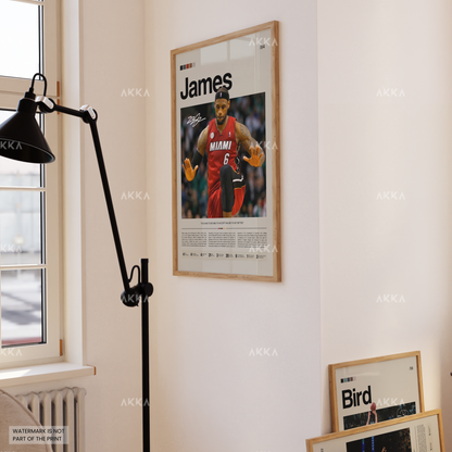 LeBron James - Miami Heat